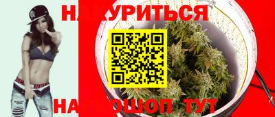 apvp Краснодар
