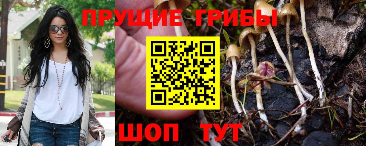 Псилоцибиновые грибы Magic Shrooms Зеленокумск